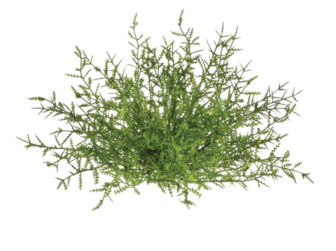 Feather Fern Half Orb