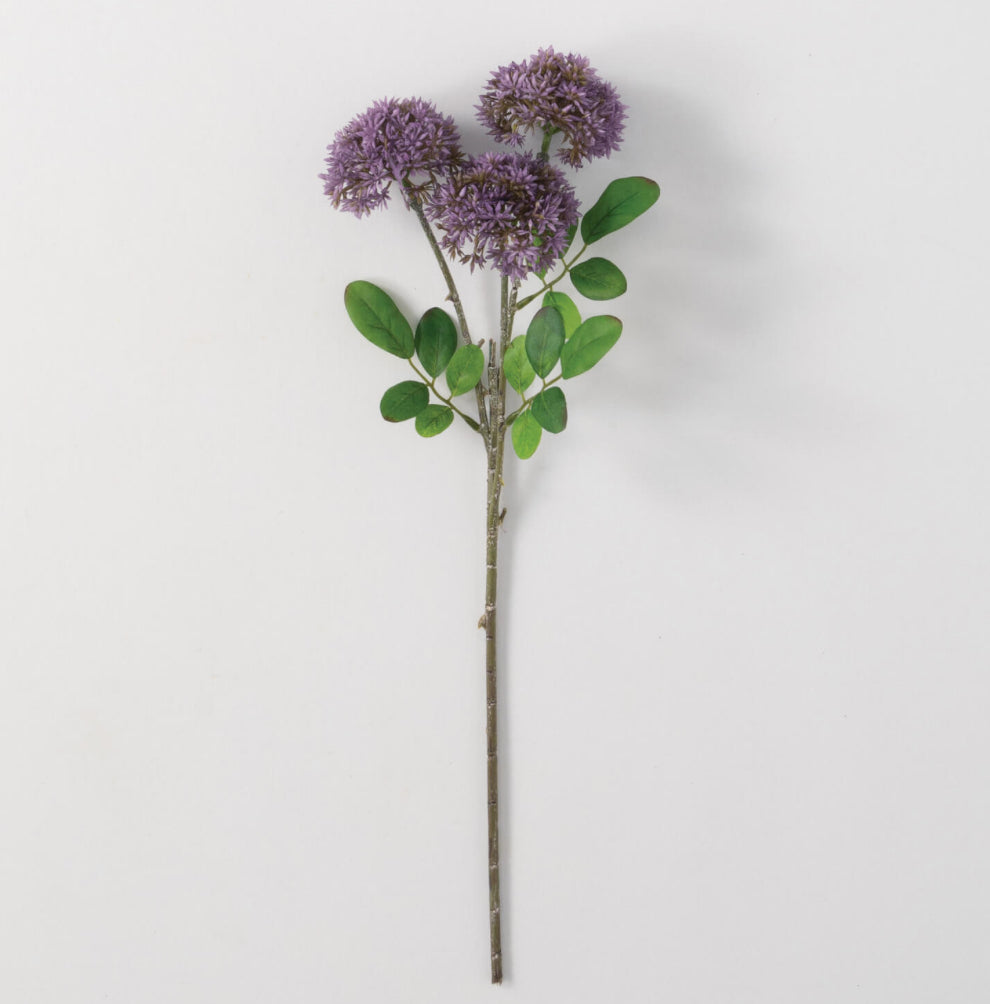 Purple Sedum Spray