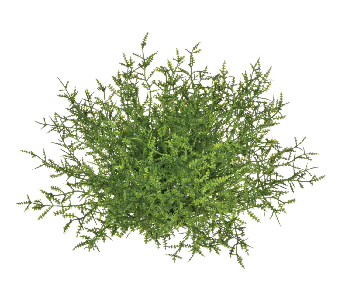 Feather Fern Half Orb