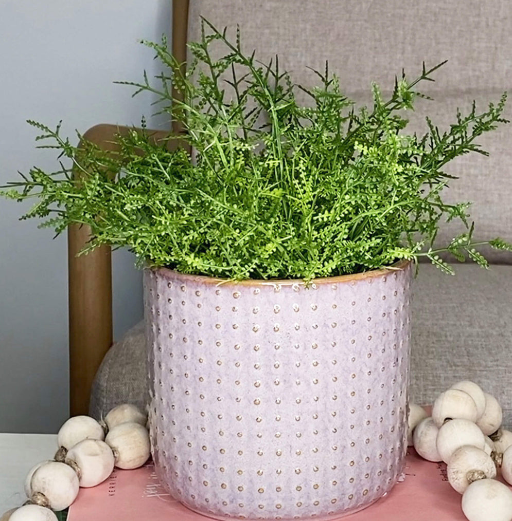 Feather Fern Half Orb