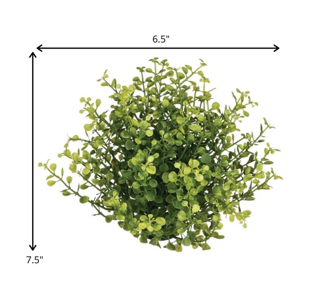 Baby Grass Half Orb-Small