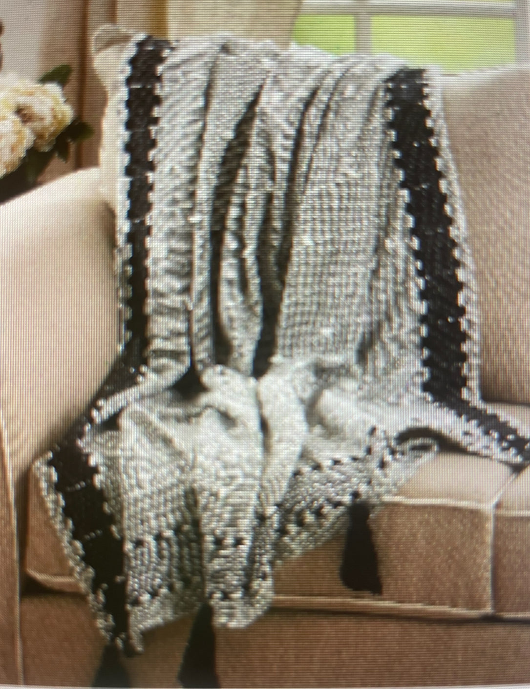 Black Band Border Tassel Throw