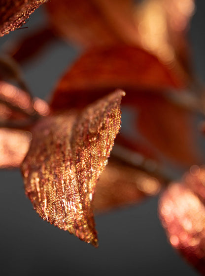 Rust Leaf Spray