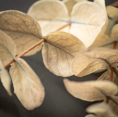 Cream Leaf Stem
