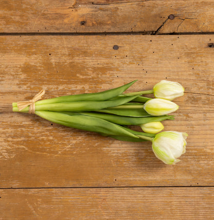 9.5” Green & White Tulip Bush