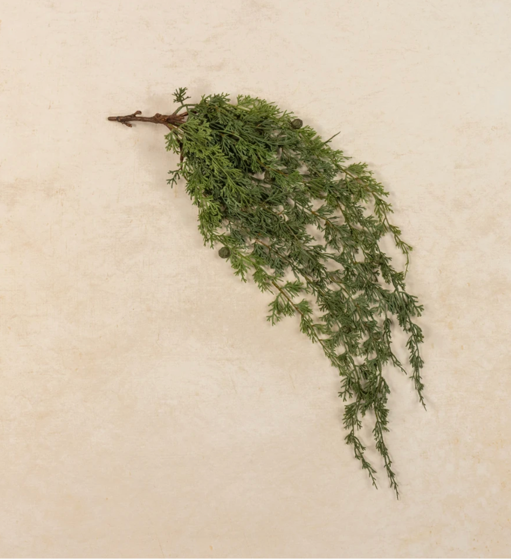 30” Soft Touch Weeping Cedar Hanging Bush
