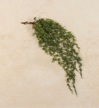 30” Soft Touch Weeping Cedar Hanging Bush
