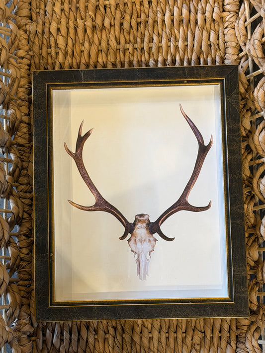 10” x 8” Vertical Antlers