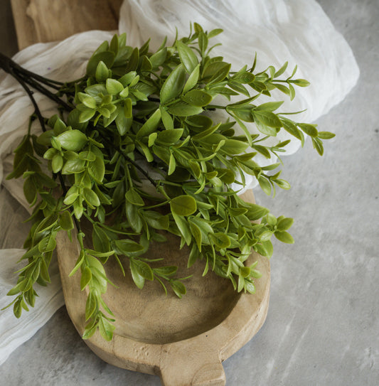 14” Ruscus Leaf Bush