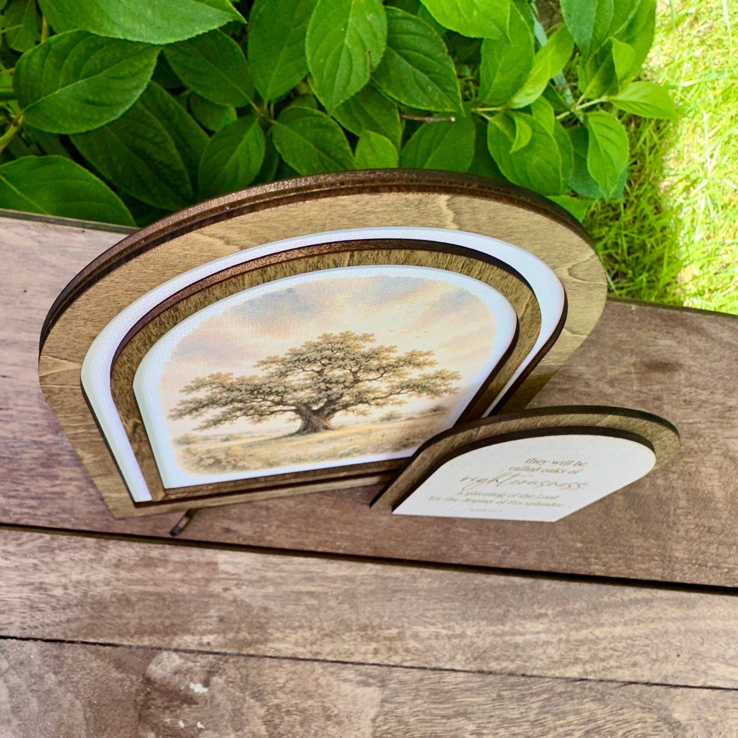 Oaks of Righteousness | Coordinating Set