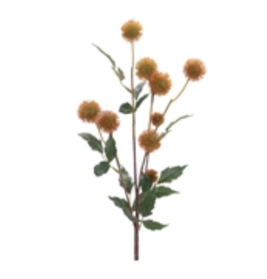 Gold Pod Branch