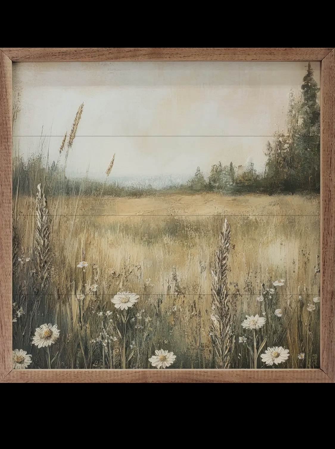 8”x8” Daisy Meadow By Petals Print