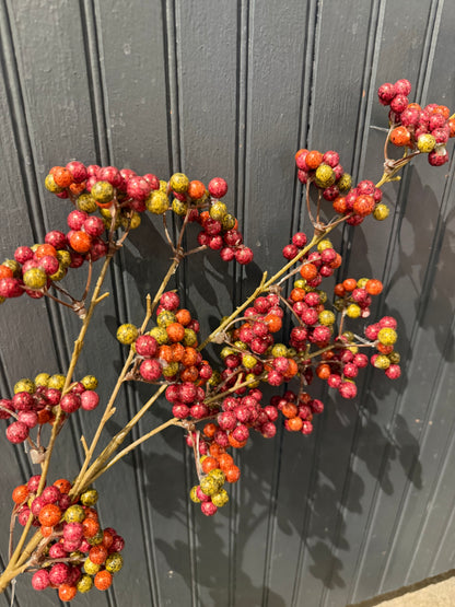 Berry Stem- 2 Assorted