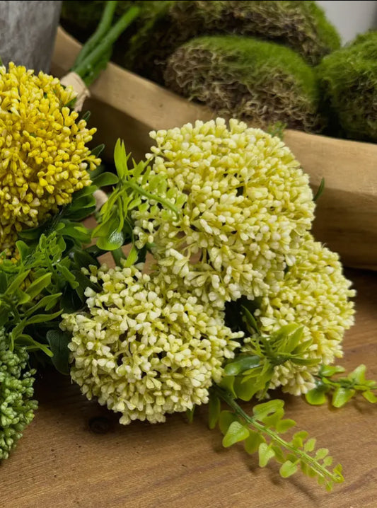 Cream Berry Sedum Spray x3stems