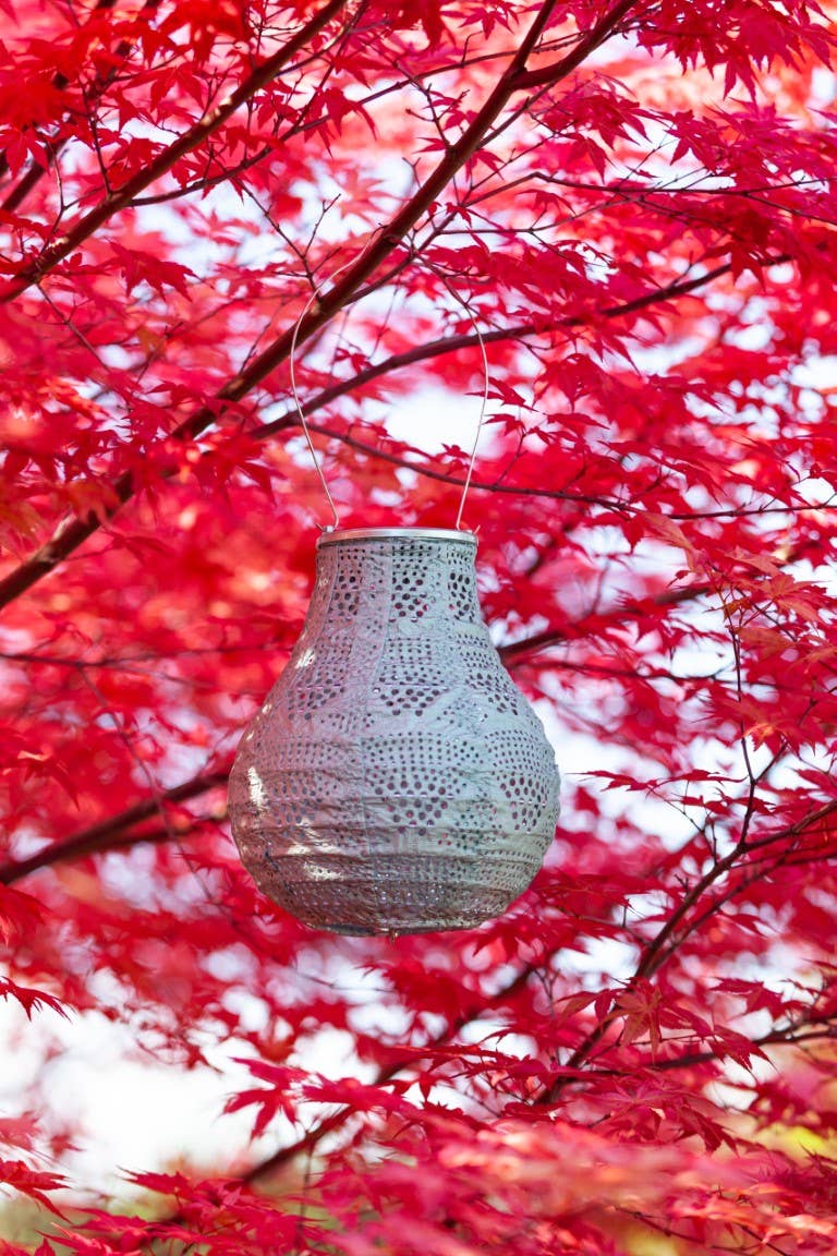 Stella Bulb 8" Solar Lantern - Sage