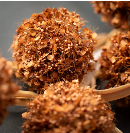 Brown Puff Spray
