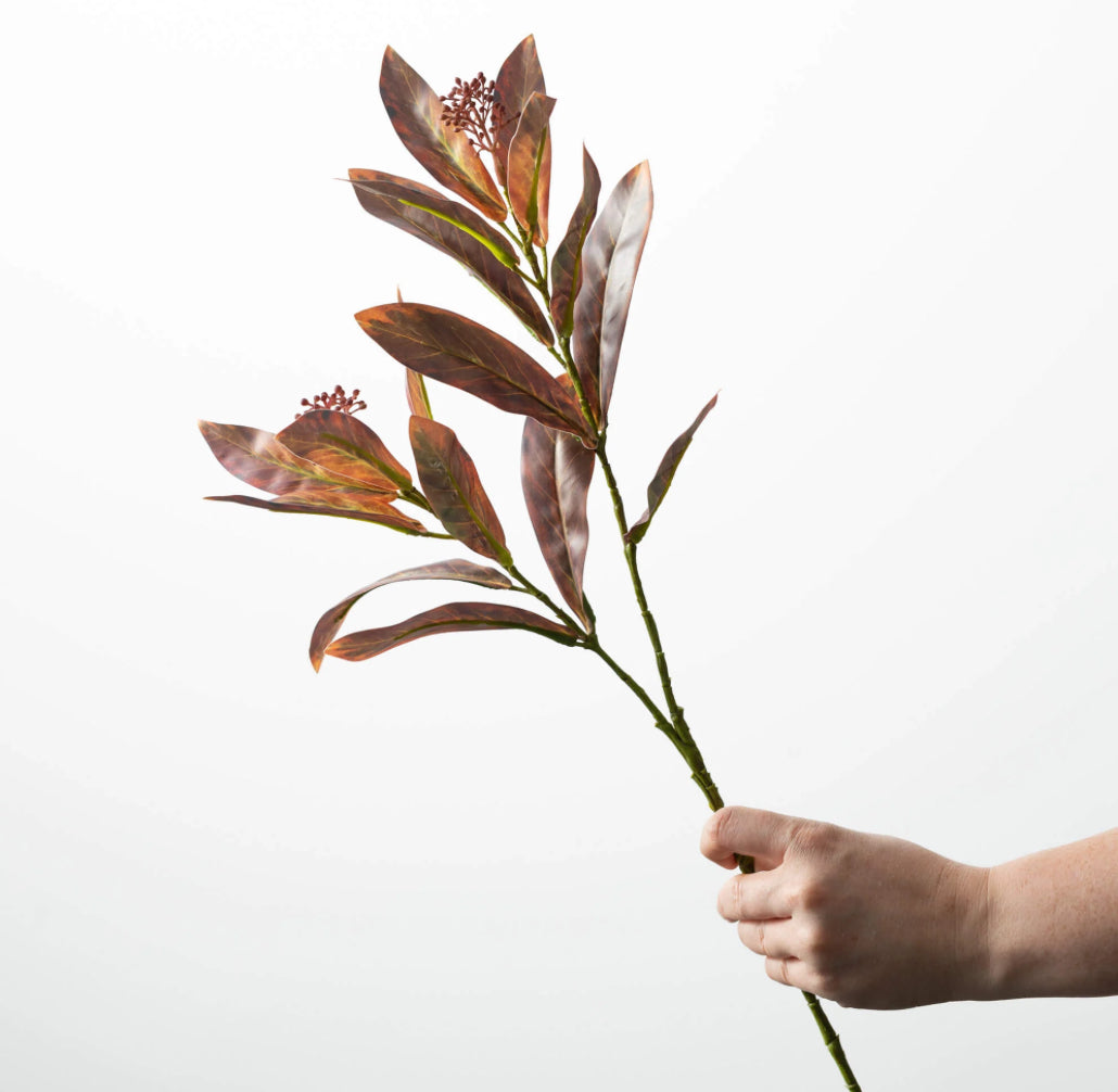 Brown Leaf Stem