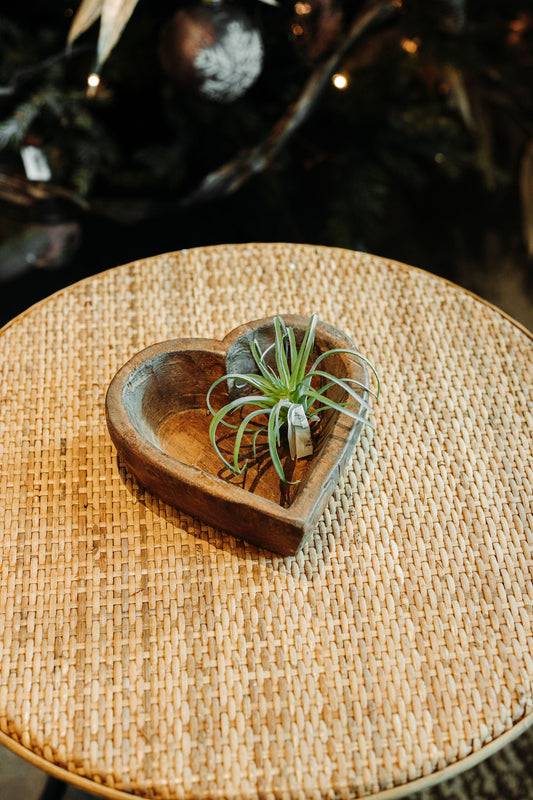 Wood Heart Bowl w/Airplant