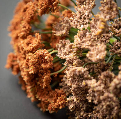 Queen Anne’s Spray