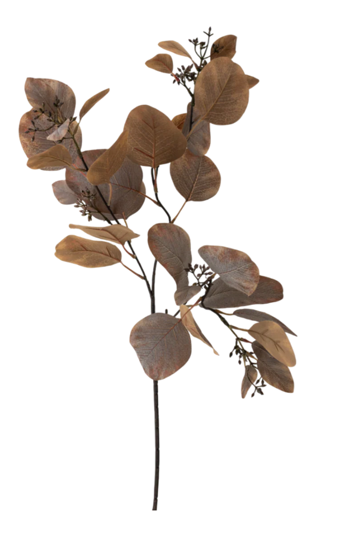 31” Brown Eucalyptus