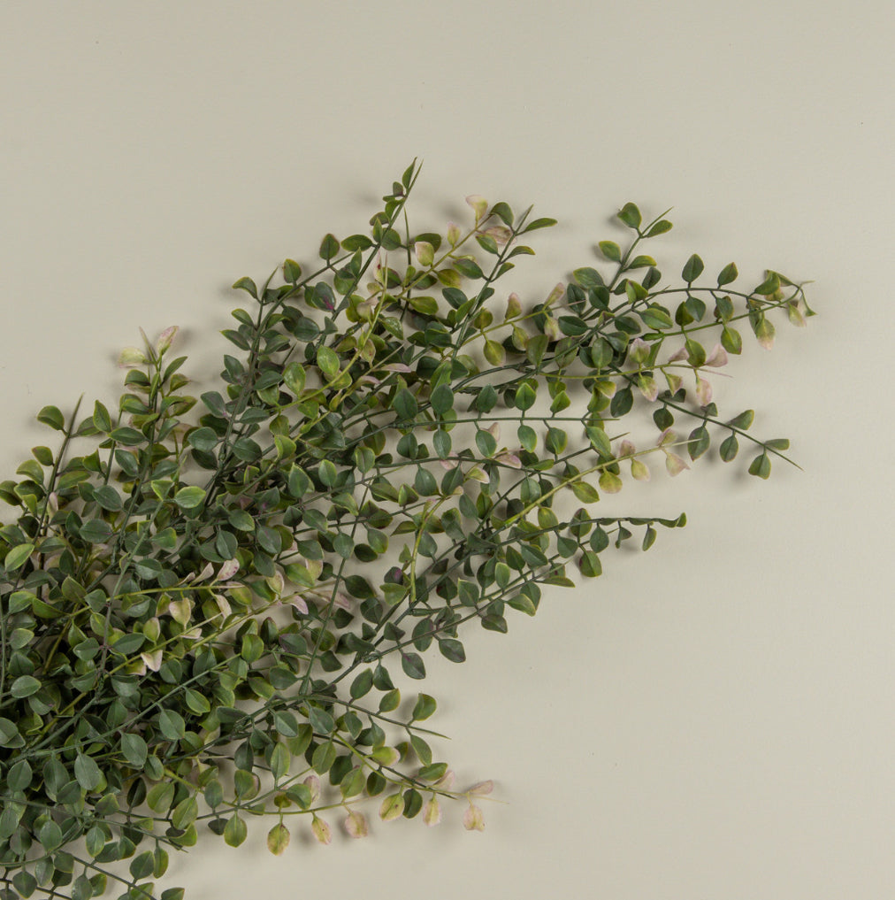 34” Pea Leaf Hanging Bush