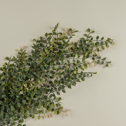 34” Pea Leaf Hanging Bush
