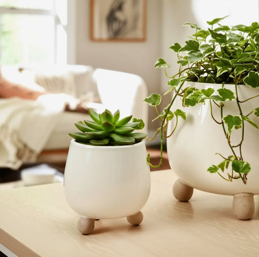 6” Ivory Round Planter with Knobby Feet