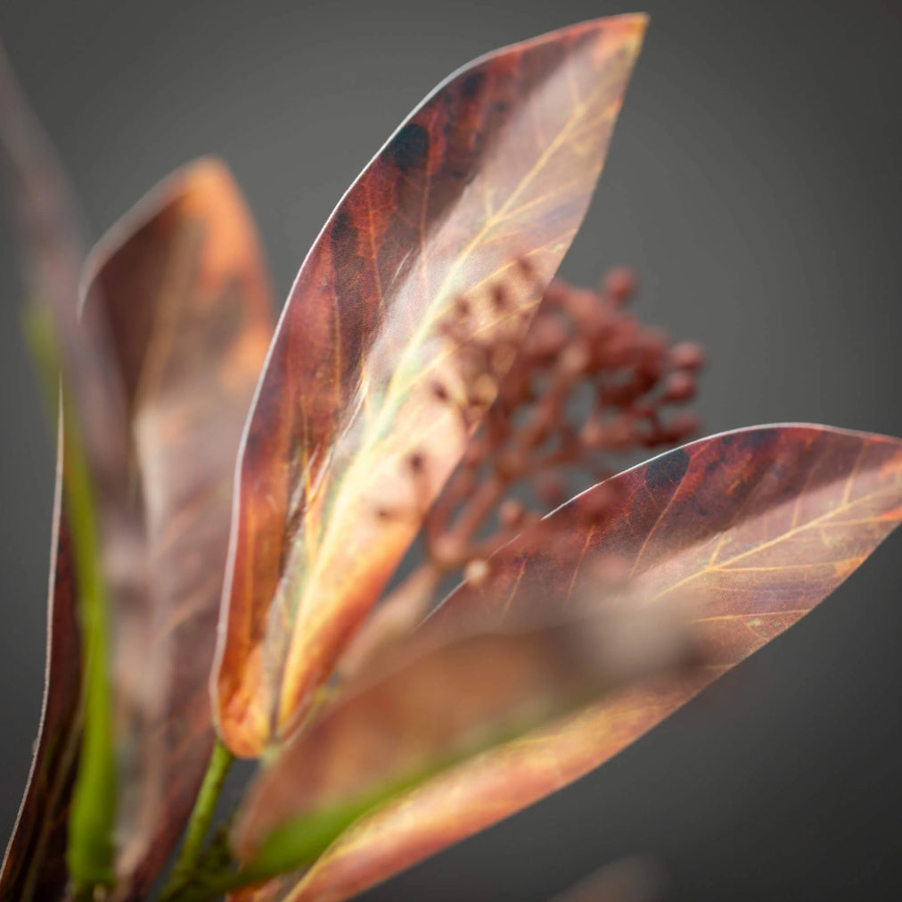 Brown Leaf Stem