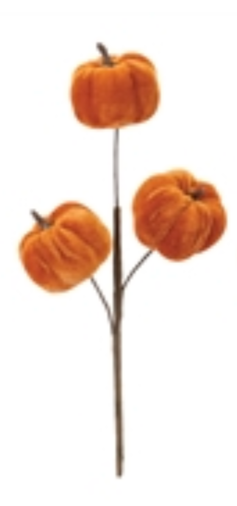 12” Pumpkin Pick