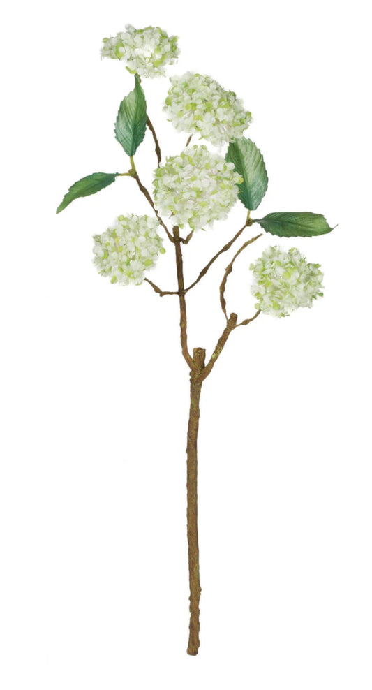 White Snowball Stem