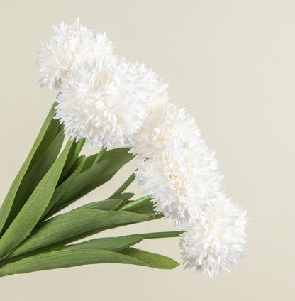 16.5” White Mum Bundle
