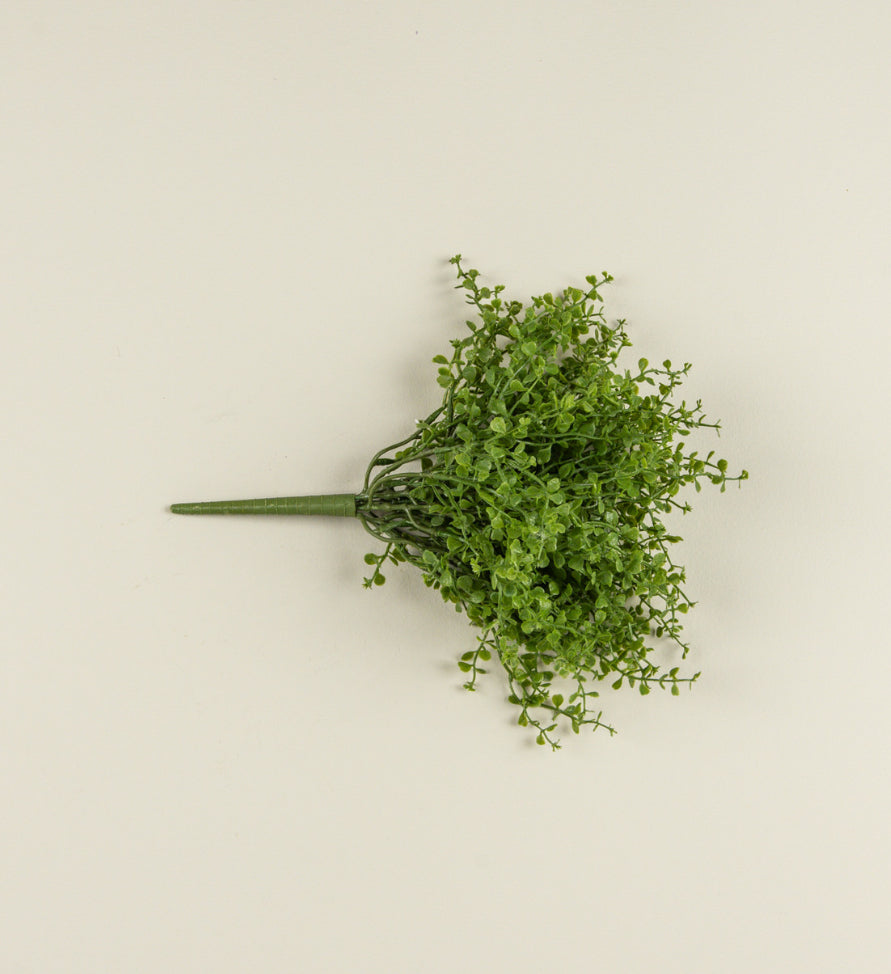 12” Baby Grass Bush