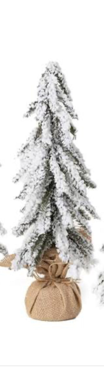 Snowy White Evergreen Tree-med