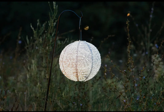 Stella Monstera 12” Globe Solar lantern