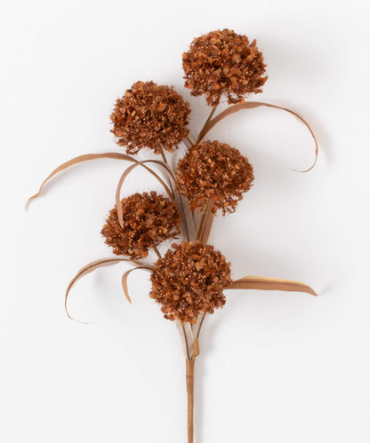Brown Puff Spray