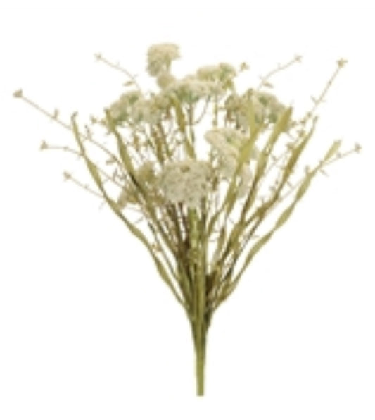 White Heather Bush