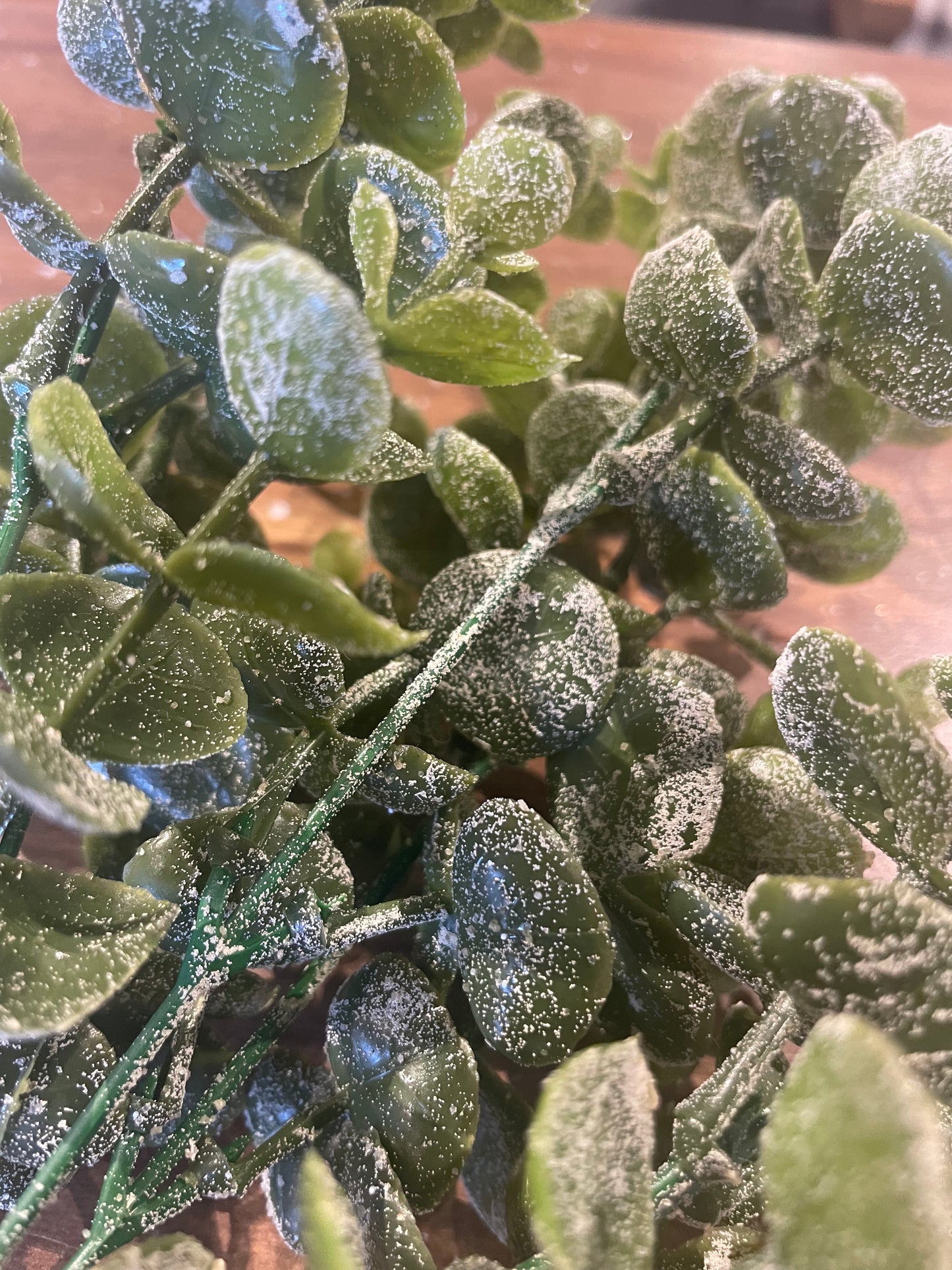 Glittered Snowy Eucalyptus Bush