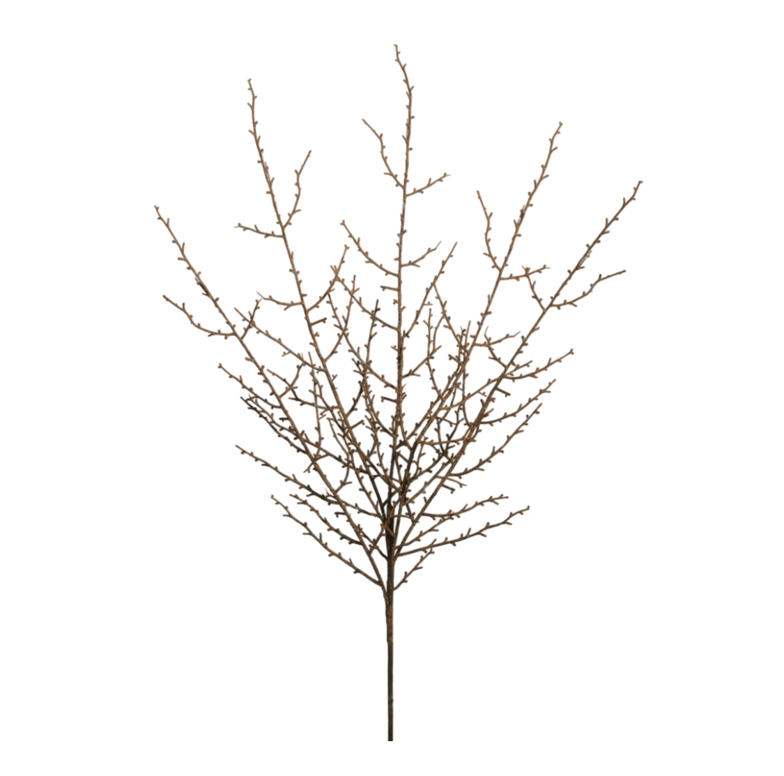 42” Branch