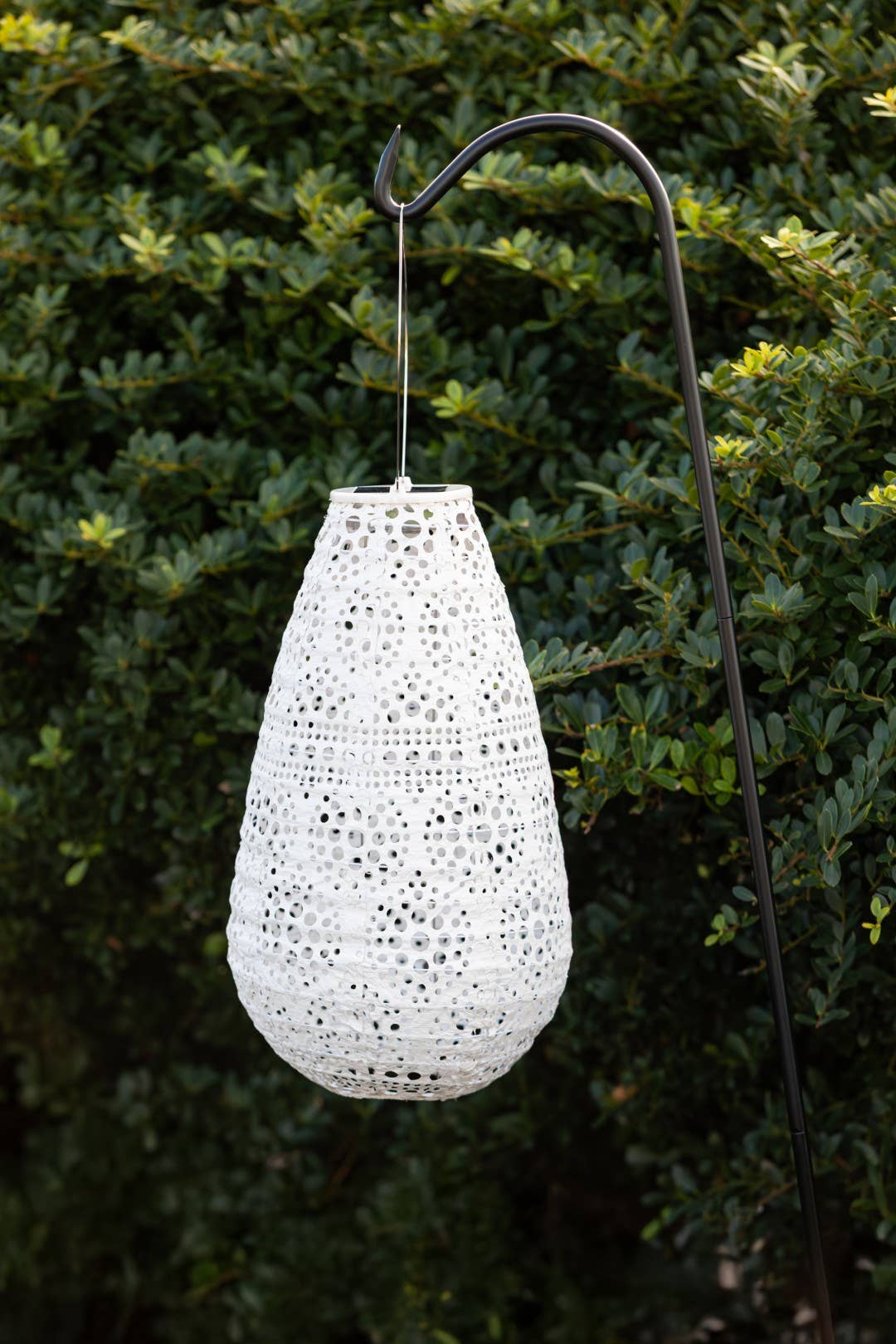 *NEW* Stella Blossom 14" Teardrop Solar Lantern - Pearl