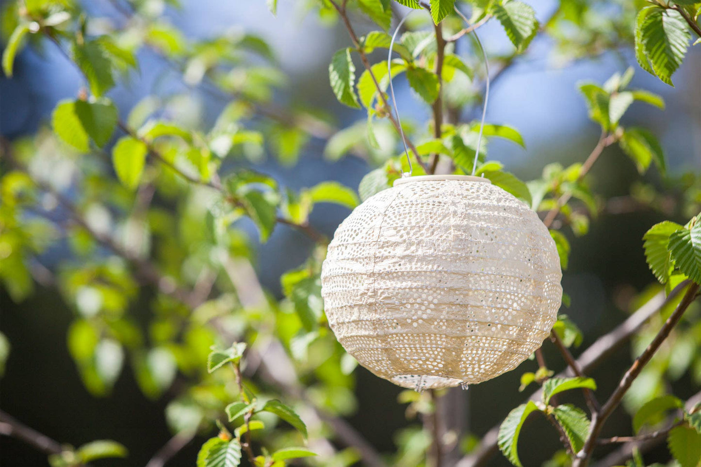 Stella Globe 8" Solar Lantern - Pearl