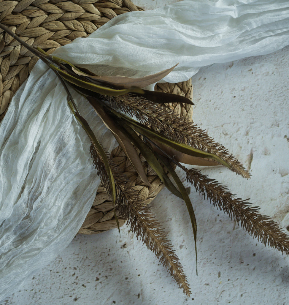 27.5” Coffee Bristle-grass Spray