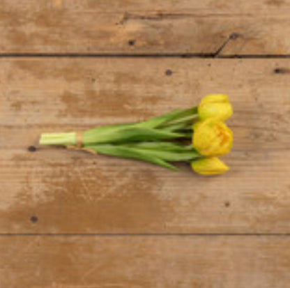 9.5” Yellow Tulip Bush