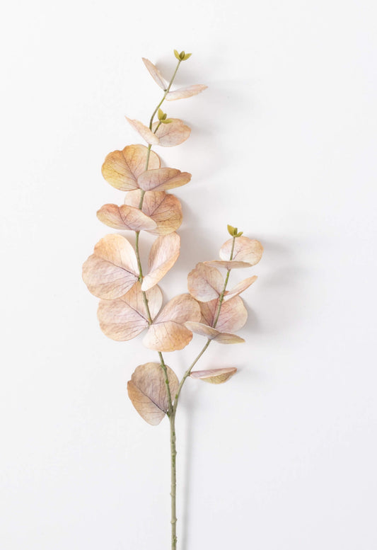 Cream/Brown Eucalyptus Stem