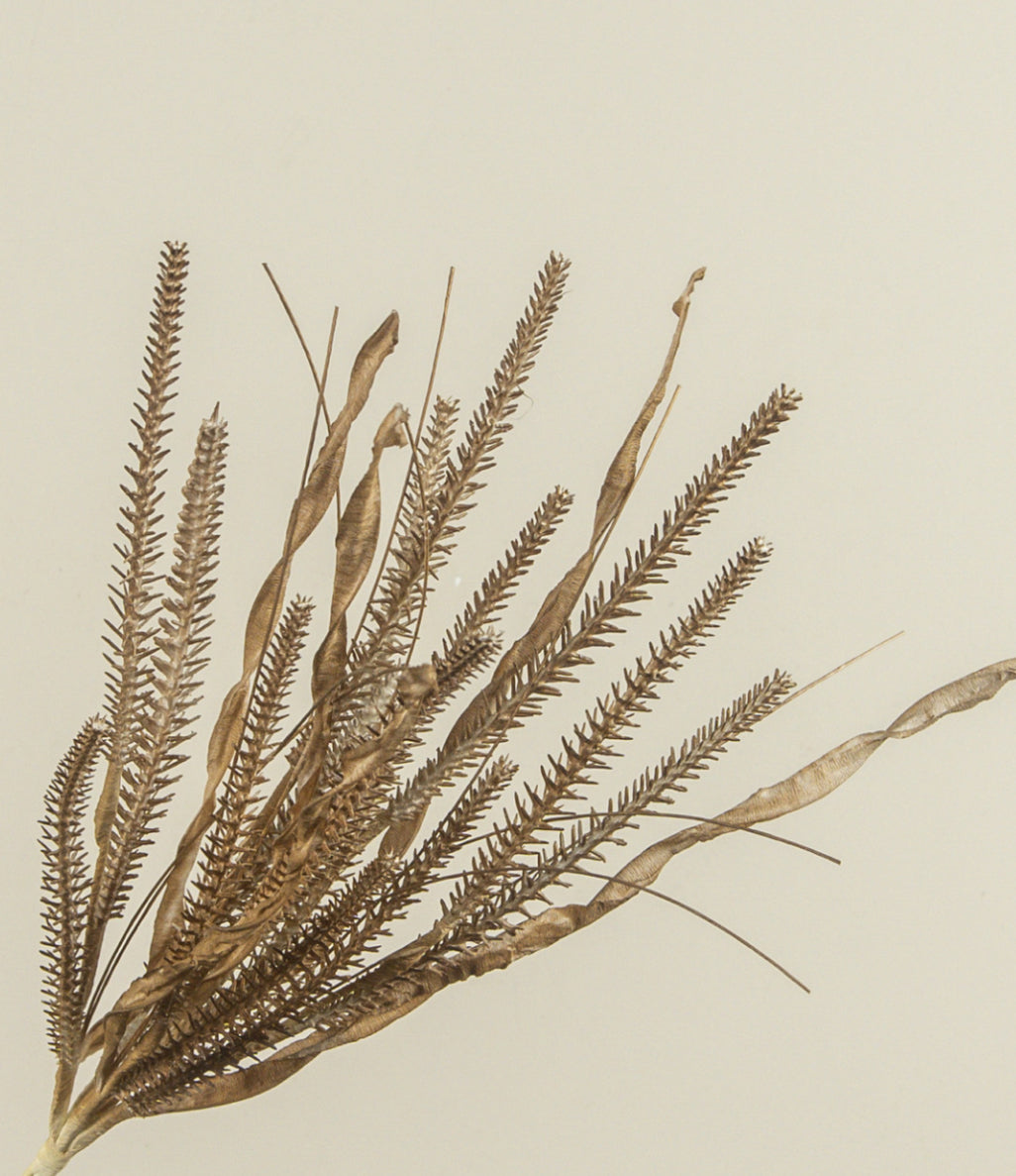 19.5” Olive Brown Grass Spray