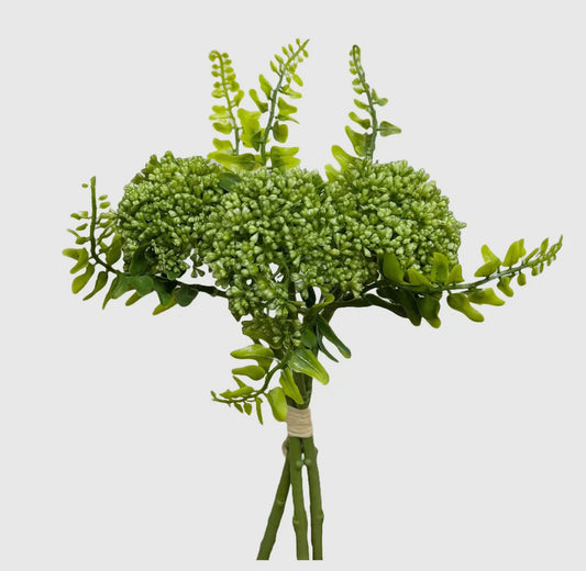 Green Berry Sedum Spray x3stems