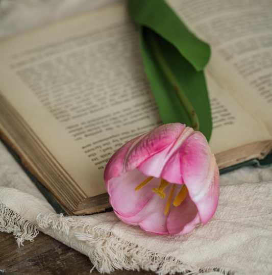 21.5 Soft Touch Pink Tulip Stem