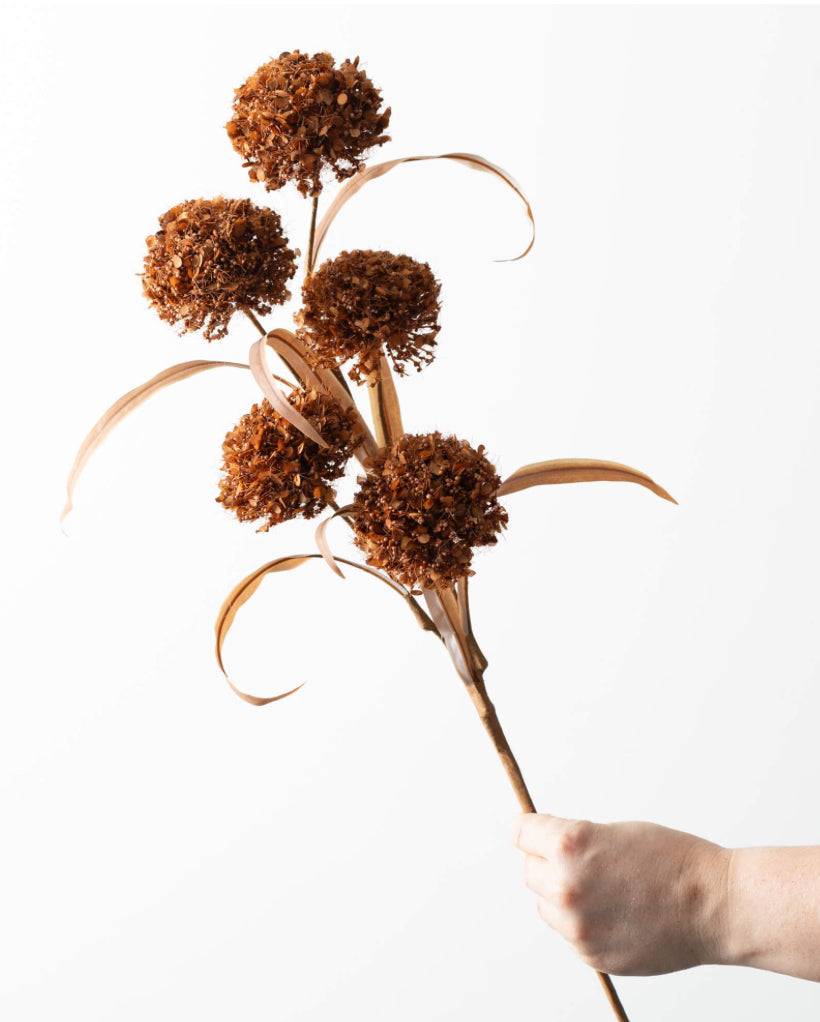 Brown Puff Spray