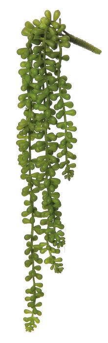 Baby Tears Vine, #FL3628-G