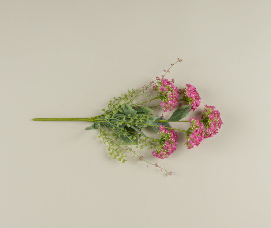 20” Pink Wild Hydrangea Bush