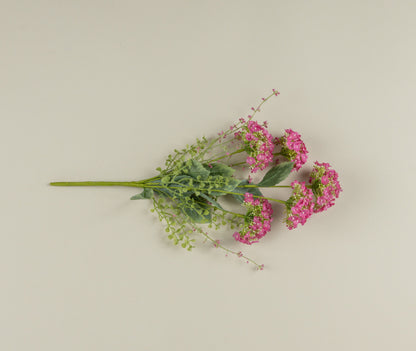 20” Pink Wild Hydrangea Bush